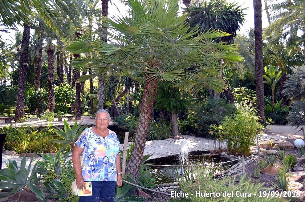 19 ELCHE HUERTO DEL CURA (100).JPG